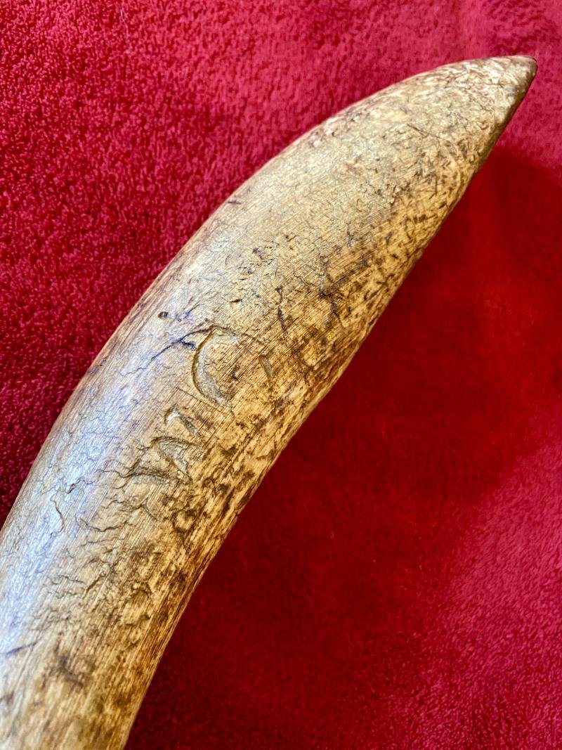 Antique Drenching Horn Farm Implement Engraved with WC — image 8