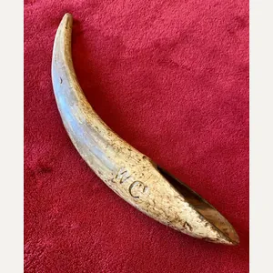 Antique Drenching Horn Farm Implement Engraved with WC
