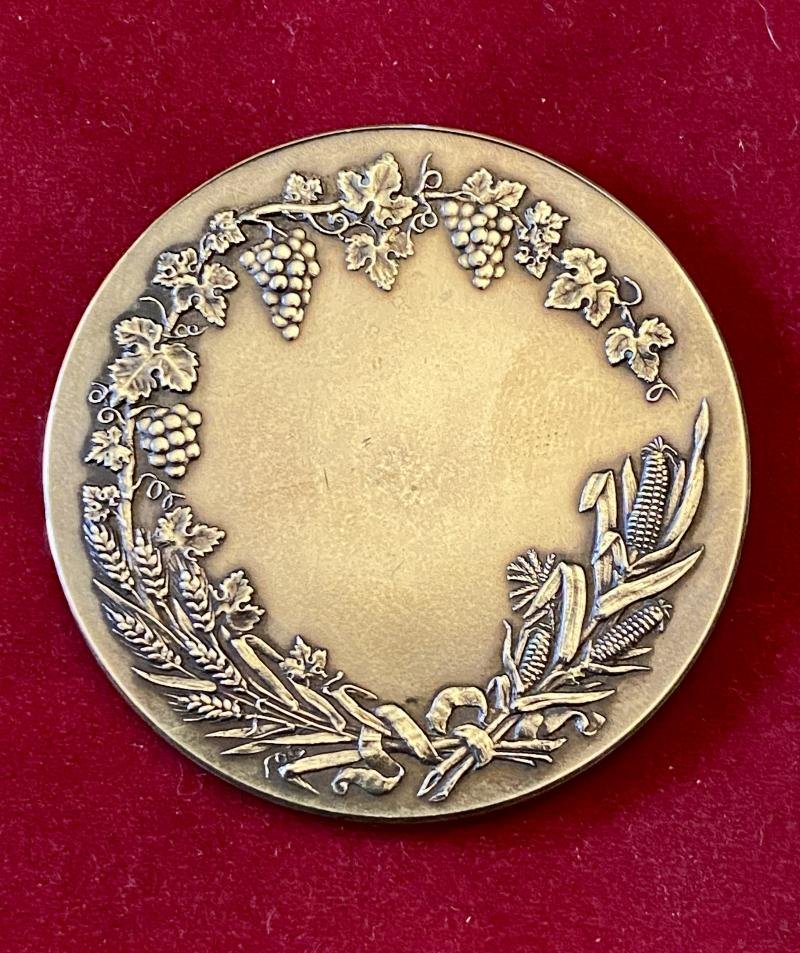 Large Antique French Bronze Medal for Société Nationale d'Encouragement à l'Agriculture de la Dordogne with Original Silk Lined Case c1880 — image 5