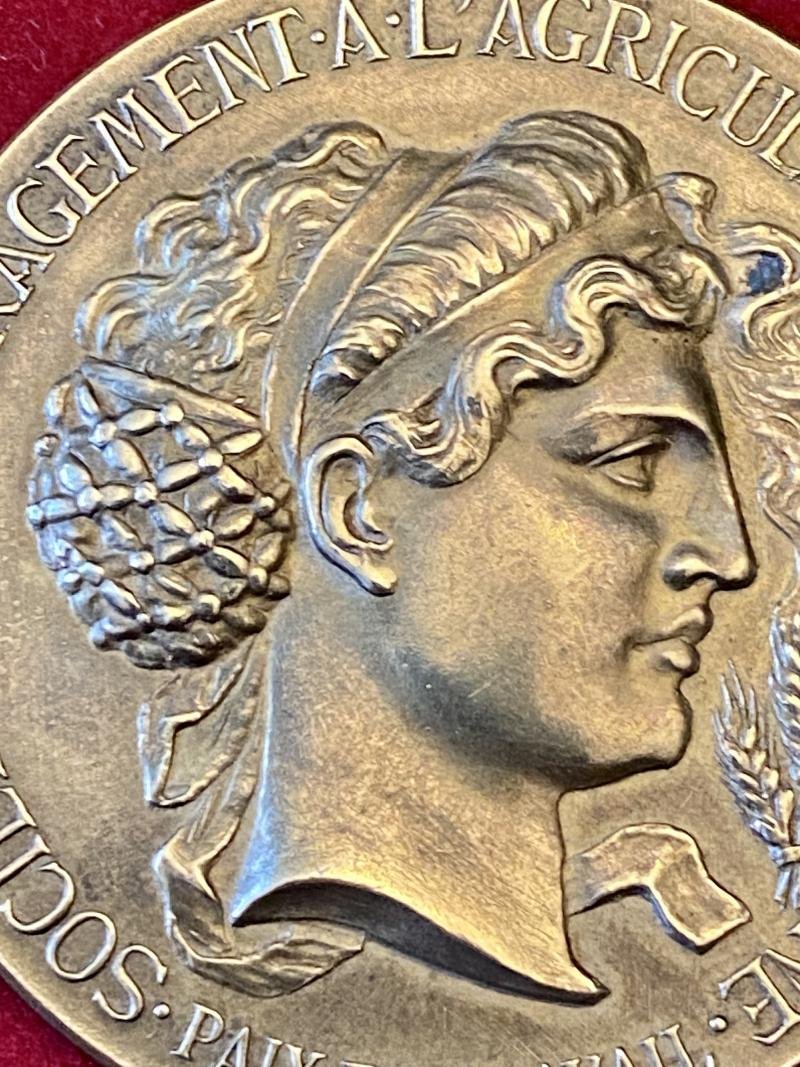 Large Antique French Bronze Medal for Société Nationale d'Encouragement à l'Agriculture de la Dordogne with Original Silk Lined Case c1880 — image 6