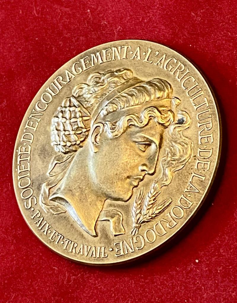 Large Antique French Bronze Medal for Société Nationale d'Encouragement à l'Agriculture de la Dordogne with Original Silk Lined Case c1880 — image 7