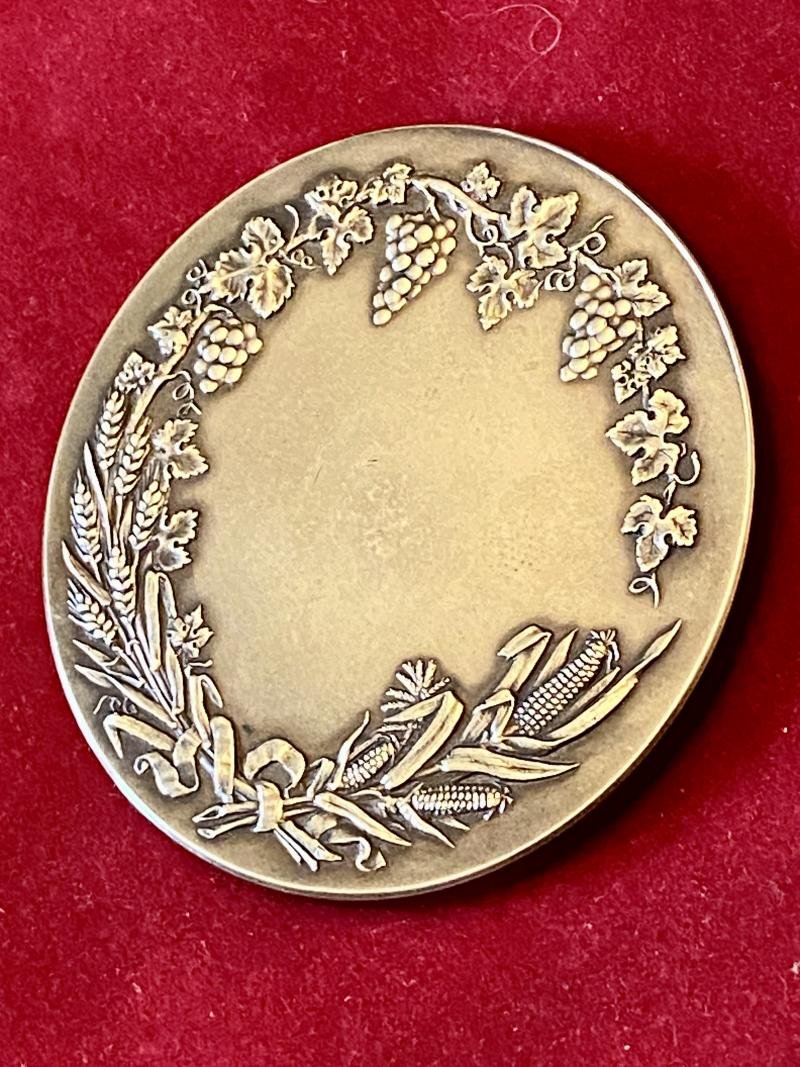 Large Antique French Bronze Medal for Société Nationale d'Encouragement à l'Agriculture de la Dordogne with Original Silk Lined Case c1880 — image 8