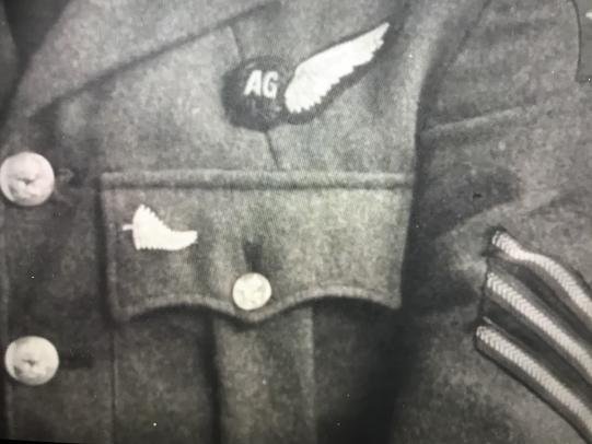 WWII New Zealand Air Force Fern Badge — image 3