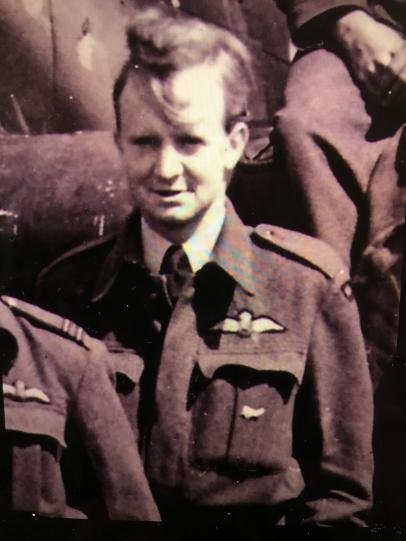 WWII New Zealand Air Force Fern Badge — image 4