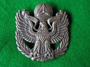 A U.S. Civil Air Patrol Officer's Cap Badge.
