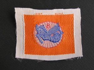 ARVN Army 8th Para Airborne