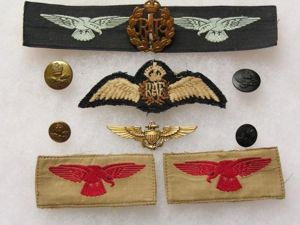 WWII RAF Sergeant Pilot Trained with the U.S.Navy in Pensacola …