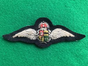WWII South African Air Force Pilot Wing