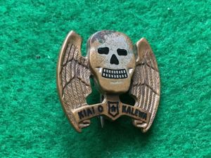 WWII US Army Air Corps 5th Bomb Group DI