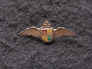 South African Pilot Sweetheart