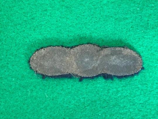 Royal Australian Air Force Leading Aircraftsman Title — image 2