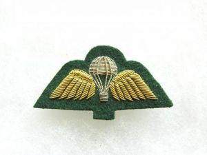 Royal Marines Blues Dress Parachute Wings