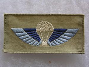 Australian Special Air Service Wing