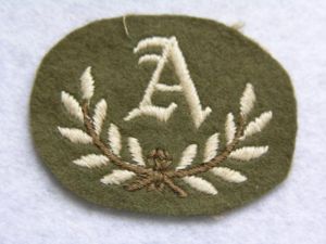 British Skill at Arms Trade Badge