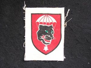 ARVN Rangers 1st Division Strike Company Printed Patch