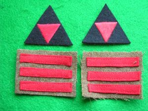 British Arm of Service Stripes -