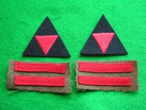 British Arm of Service Strips