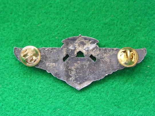 U.S. Air Force Chief Flight Surgeon Wings — image 2