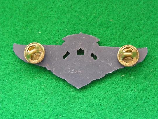 US Air Force Cheif Flight Nurse Wing — image 2