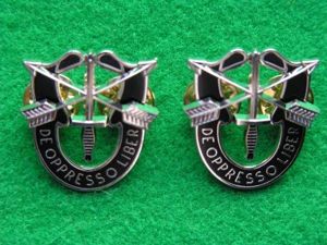 U.S. Army Special Forces Crests - Pair