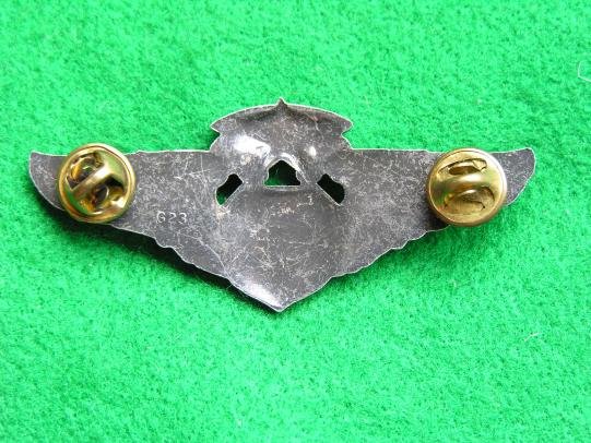 American Air Force 1950's Senior Flight Surgeon Wing — image 2