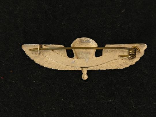 US Marine Corps Paratrooper Jump Wing — image 2