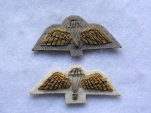 Australia Paratrooper Wings in Bullion