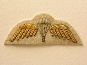 Australian Summer Dress Para Wing in Bullion