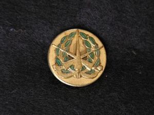 U.S. Army Enlisted Special Services Branch of Service Collar Badge