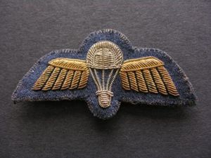 WWII RAF Jump Wings in Bullion