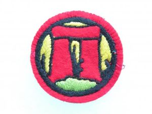 Salisbury Plain District / Southern Command Insignia