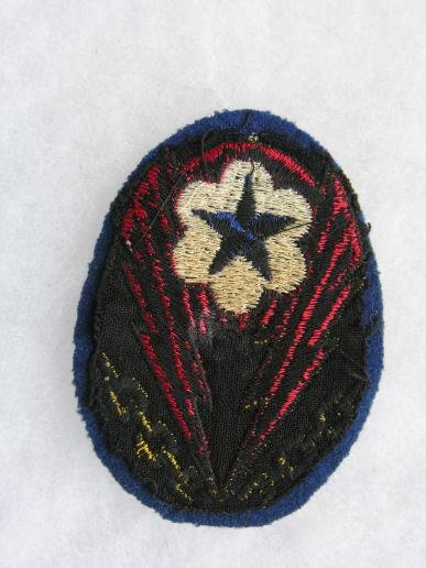 WWII European Theatre of Operations U.S. Army Patch — image 2
