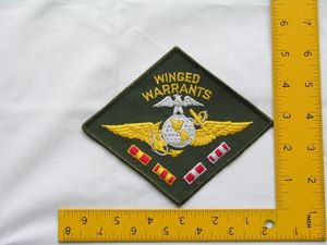 Vietnam Marine Warrant Pilot