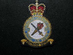 RAF 229 Squadron
