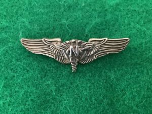 WWII US Army Air Force 'Flight Nuirse' Wing