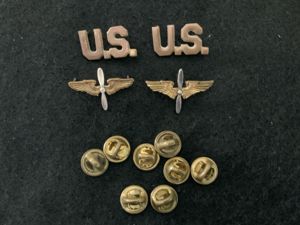 WWII US Air Air Force Officers Aviation Branch Insignia
