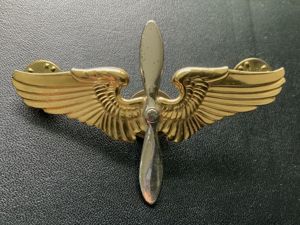 WWII United States Army Air Force Cadet Cap Badge