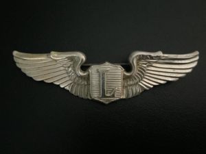 Rare WWII United States Army Air Force - Liaison Pilot