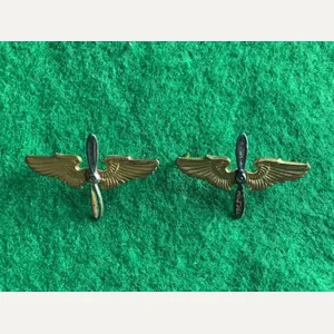 WWII US Army Air Force Branch of Service