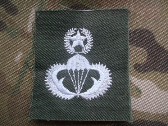 SOUTH KOREA parachute PARATROOPER PARA WINGS BADGE SET BASIC SENIOR MASTER — image 4