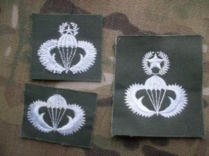 SOUTH KOREA parachute PARATROOPER PARA WINGS BADGE SET BASIC SENIOR …