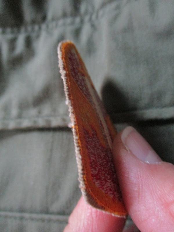 ORIGINAL us army MACV MAC V VIETNAM WAR SPECIAL FORCES BADGE PATCH cut edge — image 5