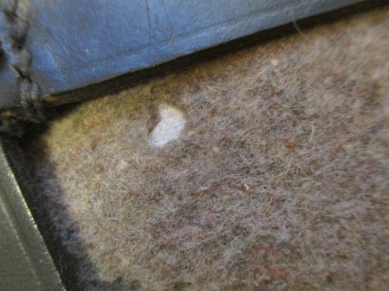 Original Genuine 1942 WW2 GERMAN ARMY / Waffen SS MEDICS WATERBOTTLE CANTEEN ESB42 — image 5