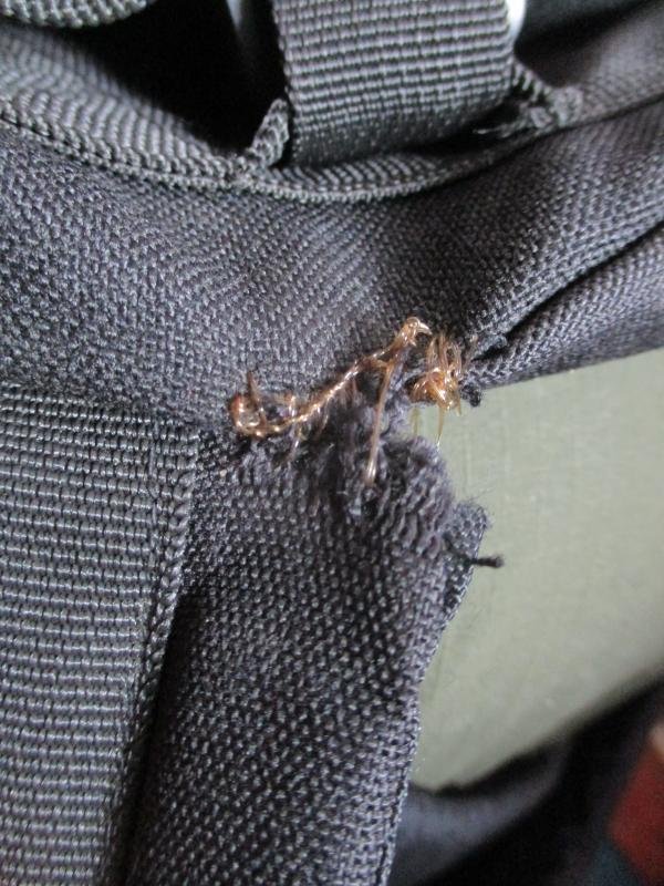 KING ARMS 35L lightweight 3 DAY ASSAULT PATROL PACK SACK DAY SACK sf black — image 4