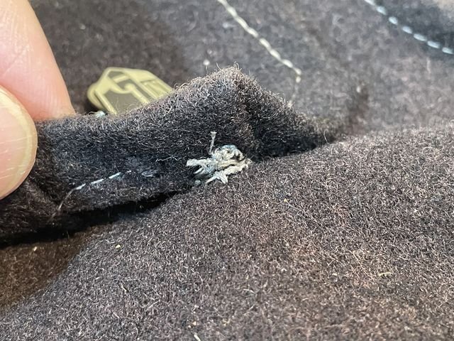 Original Italian Fascist Overseas Cap with Insignia — image 15