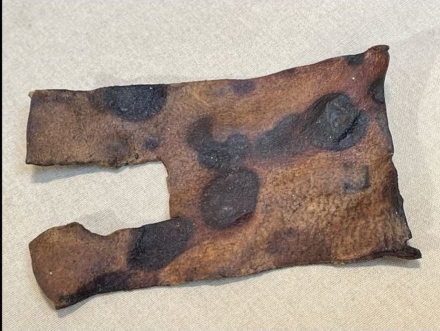 Original Early (1850's or 1860's) Prussian Forestry Service Belt Buckle — image 12