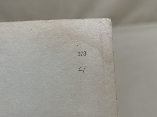 Original WWII German Our Waffen-SS Series Photo Postcard, Der Spährtruppführer — image 6