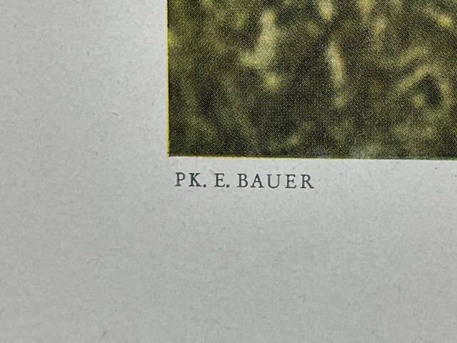 Original WWII German Military Themed Color Print, CAVALRY PATROL THE ROAD — image 6