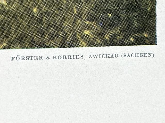 Original WWII German Military Themed Color Print, CAVALRY PATROL THE ROAD — image 7