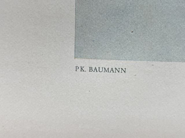 Original WWII German Military Themed Color Print, GEBIRGSJÄGER IN THEIR ELEMENT — image 6